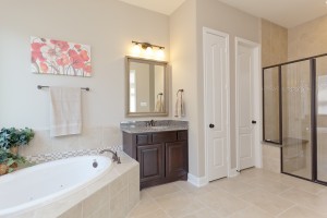 17215 Bland Mills Ln, Richmond Tx 77407-Master Bathroom couter tops
